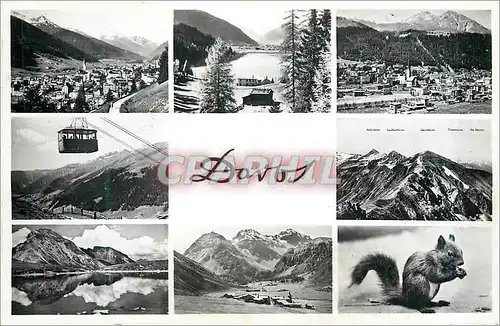 Cartes postales moderne Davos Parsenn Streta Brama Buel  Ecureuil