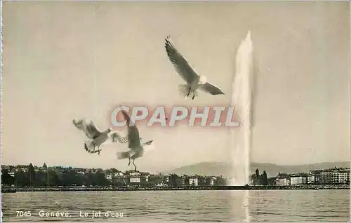 Cartes postales moderne Geneve le Jet d'Eau