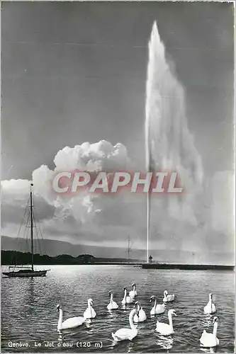 Cartes postales moderne Geneve le Jet d'Eau (120m) Cygnes