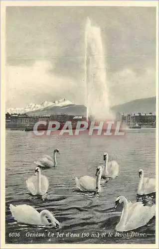 Moderne Karte Geneve le Jet d'Eau (90m) et le Mont Blanc Cygnes