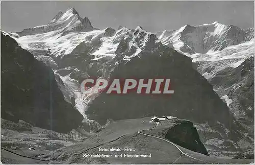 Cartes postales moderne Grindelwald First Shrecknorner und Fiescherwand