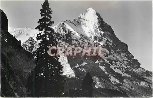 Cartes postales moderne Grindelwald Lauchbuhl Der Eiger