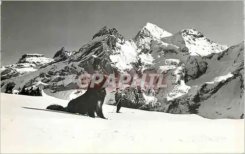 Cartes postales moderne Kandersteg Oeschinensee Bingo Blumlisalpgruppe Chien
