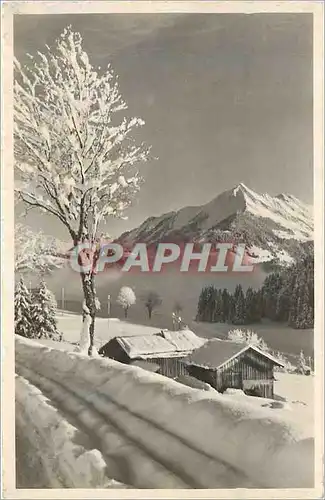Cartes postales moderne Leysin Pic Chaussy