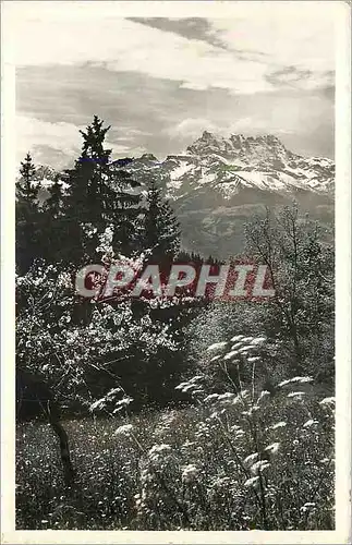 Cartes postales moderne Leysin La Dent du Midi