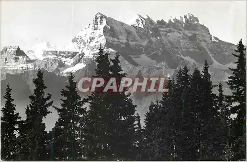 Cartes postales moderne Leysin Les Dents du Midi et le Mt Blanc