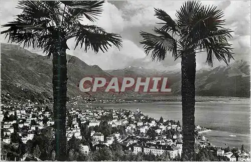 Cartes postales moderne Locarno Panorama