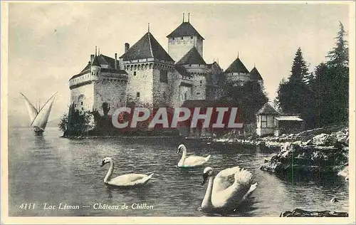 Cartes postales moderne Lac Leman Chateau de Chillon Cygnes