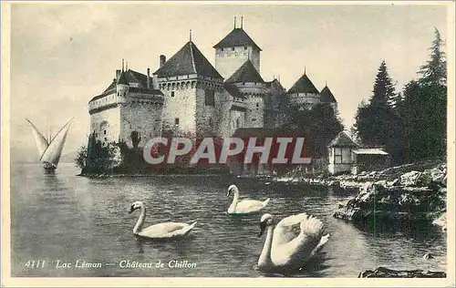 Moderne Karte Lac Leman Chateau de Chillon Cygnes