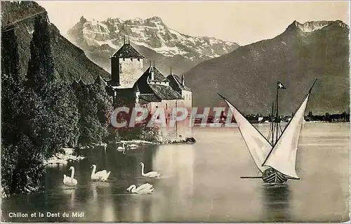 Cartes postales moderne Chillon et les Dents du Midi Bateau Cygnes