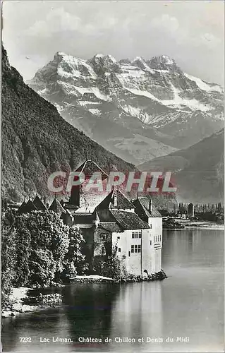 Moderne Karte Lac Leman  Chateau de Chillon et les Dents du Midi