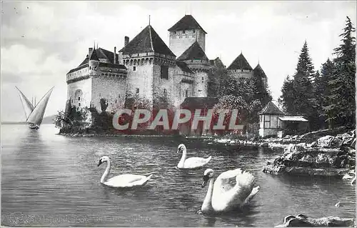 Cartes postales moderne Lac Leman Chateau de Chillon Cygnes