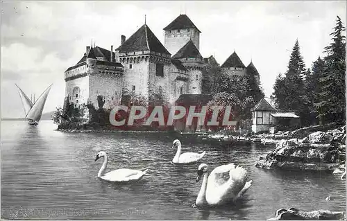 Moderne Karte Lac Leman Chateau de Chillon Cygnes