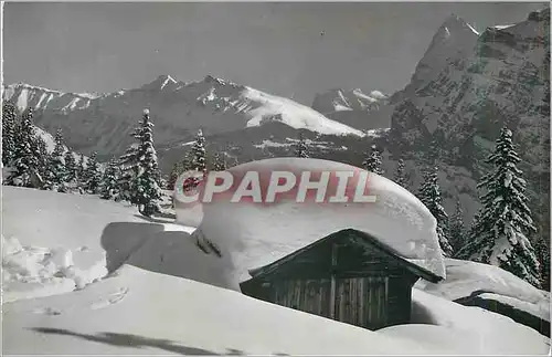 Cartes postales moderne Murren Landschaft im Wintertal Wetterhorner und Eglger