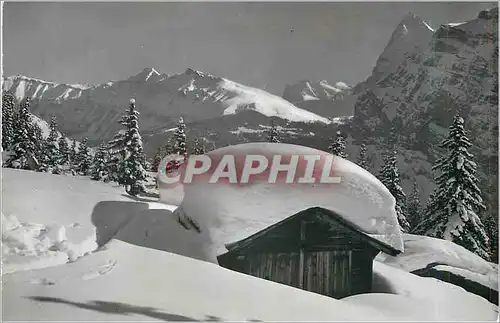 Moderne Karte Murren Landschaft im Wintertal Wetterhorner und Eglger