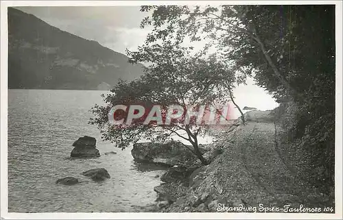 Cartes postales moderne Strandweg Spiez Fanlensee