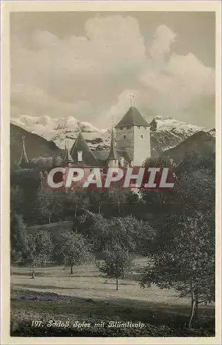 Cartes postales moderne SchloB Spiez mit Blumlisalp