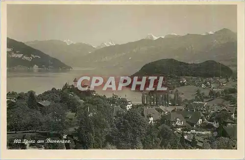 Moderne Karte Spiez am Thunersee