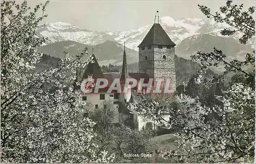 Cartes postales moderne Schloss Spiez