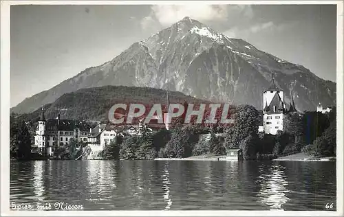 Cartes postales moderne Spiez mit Niesen