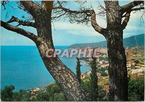 Cartes postales moderne Sanremo Riviere des Fleurs Panorama