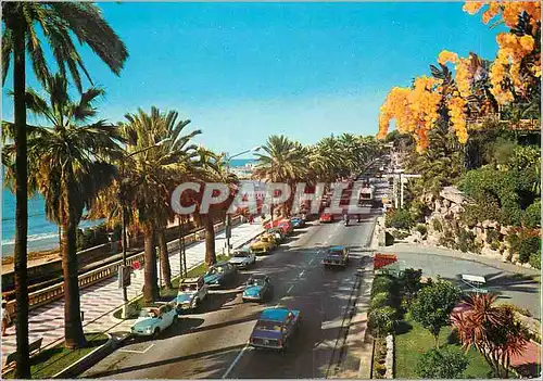 Cartes postales moderne Sanremo Riviera dei Fiori Imperatrice Promenade