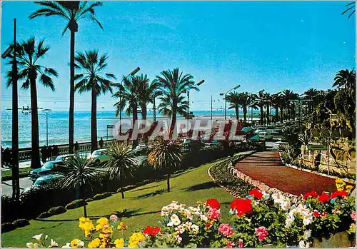 Cartes postales moderne Sanremo Riviera dei Fiori Promenade le Long de la Mer de l'Imperatrice