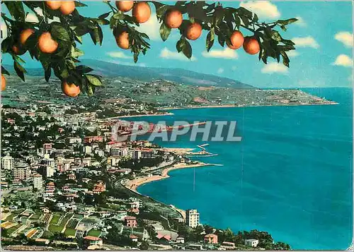 Cartes postales moderne San Remo Panorama