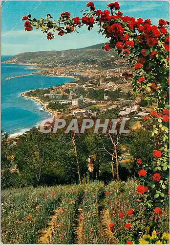 Cartes postales moderne Sanremo Panorama