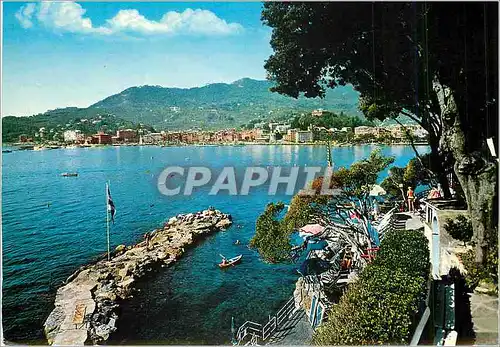 Cartes postales moderne Golfo Del Tigullio Santa Margherita Ligure Scorio Panoramico