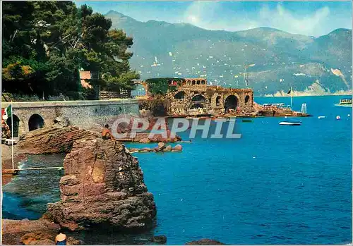 Cartes postales moderne S Margherita Ligure II Covo di Nord Est
