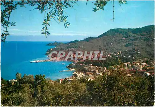 Cartes postales moderne S Margherita Ligure Panorama