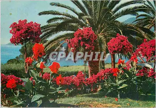Cartes postales moderne Golfo Tigullio Luci e Colori d'Italia Santa Margherita