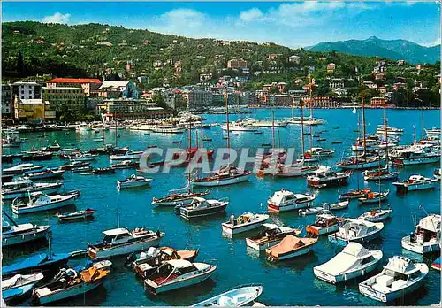 Cartes postales moderne S Margherita Ligure (Golfo Tigullio) Panorama du Port Bateaux