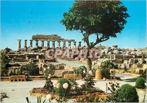 Cartes postales moderne Castelvetrano Selinunte Temple E