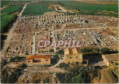 Moderne Karte Selinunte (Trapani) Les Ruines Vue aerienne