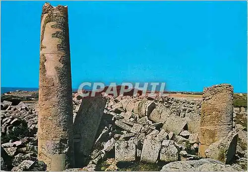 Cartes postales moderne Castelvetrano Selinunte Temple G Fuso della Vecchia