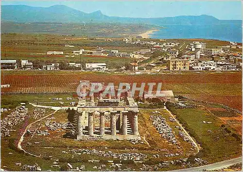 Cartes postales moderne Selinunte Temple E Vue Generale
