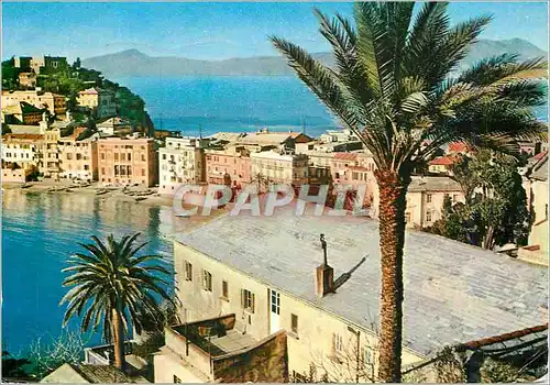 Cartes postales moderne Sestri Levante Panorama