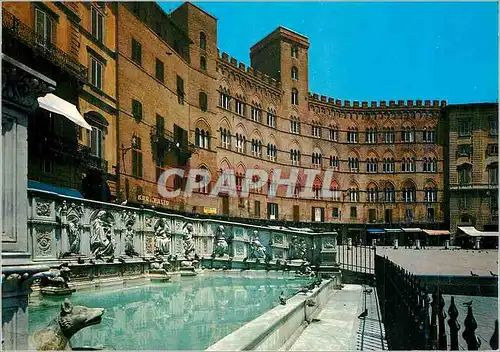 Cartes postales moderne Siena La fontaine Care et Palais Sancedom