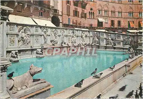 Cartes postales moderne Siena La Fontaine Gaie