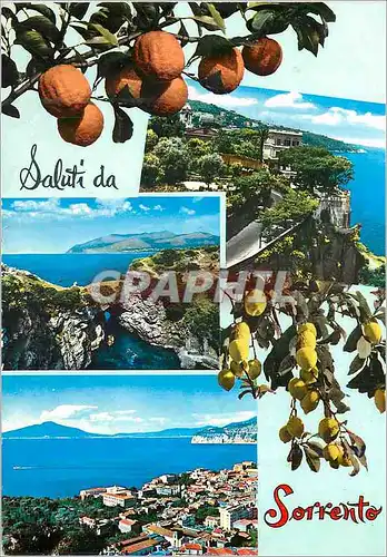 Cartes postales moderne Saluti da Sorrento