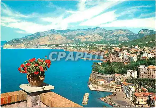 Moderne Karte Sorrento Panorama vu de la Pansion Minerva