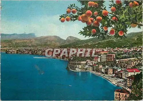 Cartes postales moderne Sorrento Panorama vu de la Tonnerella