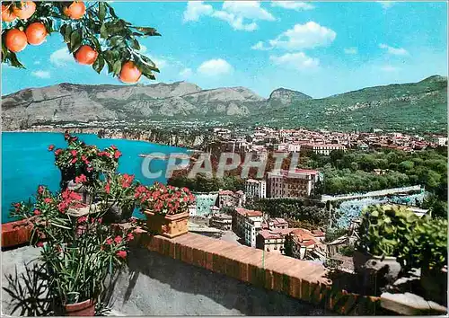 Cartes postales moderne Sorrento Panorama