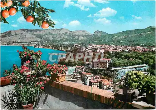 Moderne Karte Sorrento Panorama