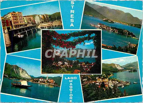 Cartes postales moderne Stresa Lago Maggiore