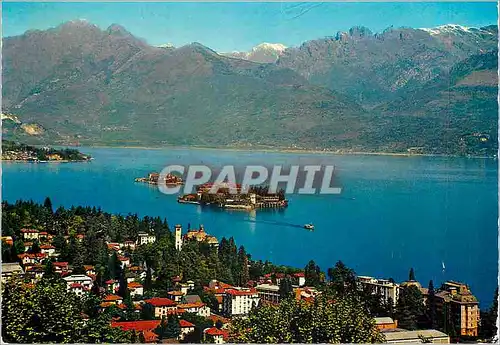 Cartes postales moderne Stresa Lac Majeur Vue Generale