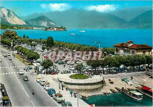 Cartes postales moderne Stresa Lac Majeur et Isola Bella Parking Automobiles