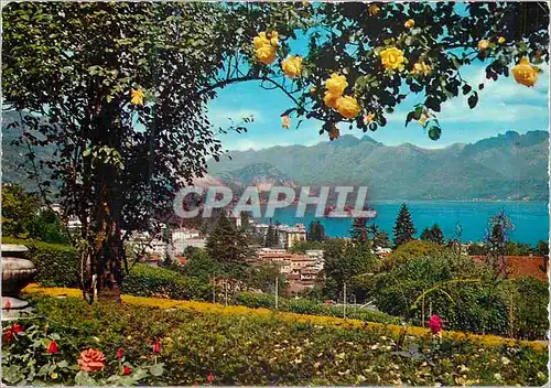 Cartes postales moderne Stresa Lac Majeur Vue Generale